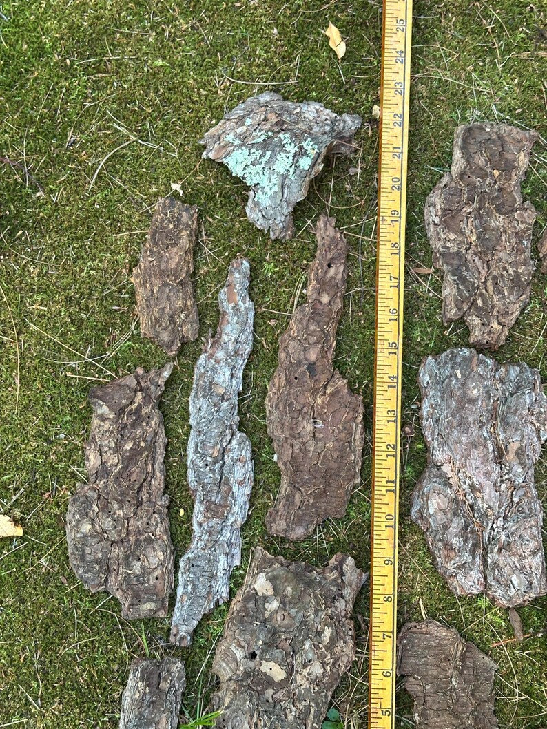 May include: A collection of irregularly shaped pieces of tree bark in shades of brown, gray, and green, scattered on a bed of green grass. A yellow ruler, marked in inches, is placed alongside the bark pieces, measuring up to 25 inches.