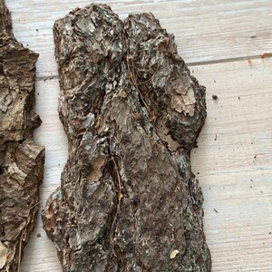 May include: Close-up of several pieces of rough, textured tree bark. The bark is primarily brown with lighter tan and gray patches, and some small pieces of dried plant matter are visible. The bark pieces are irregularly shaped and appear to be from a pine tree.
