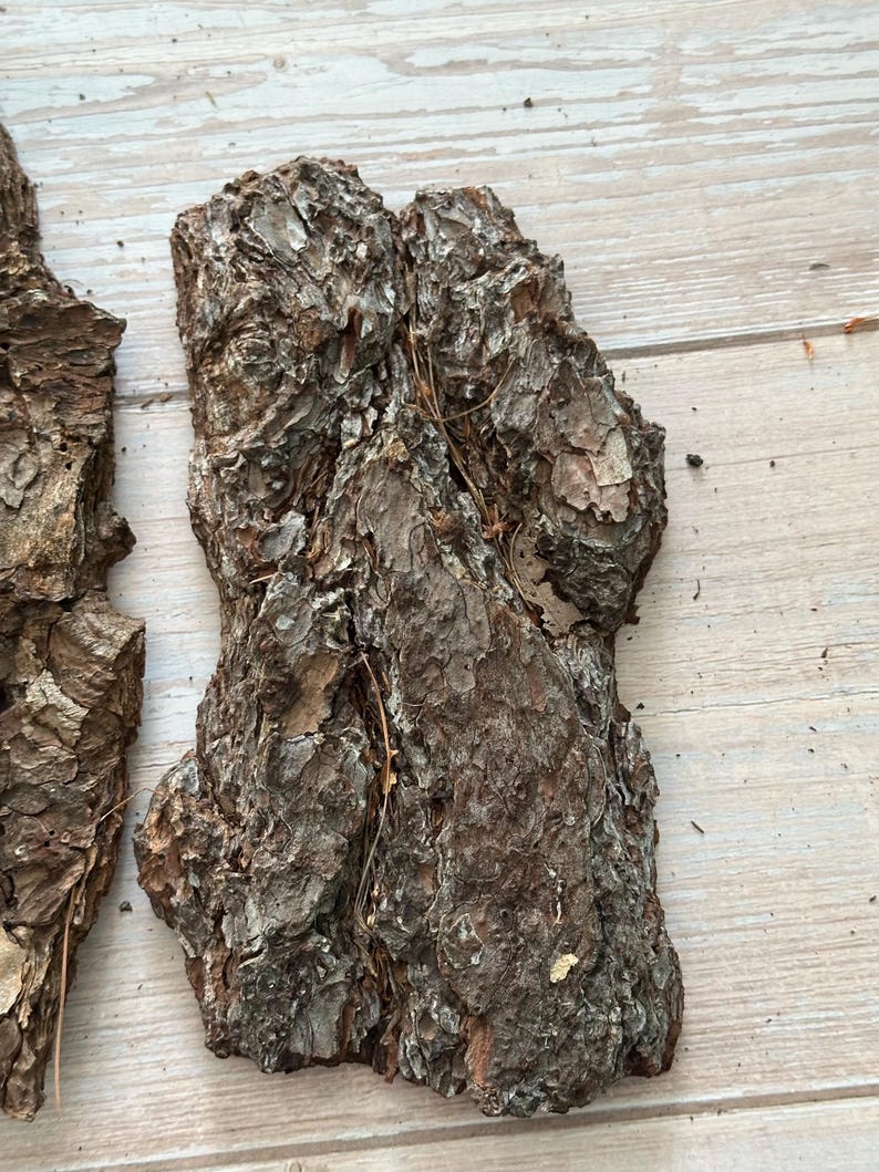 May include: Close-up of several pieces of rough, textured tree bark. The bark is primarily brown with lighter tan and gray patches, and some small pieces of dried plant matter are visible. The bark pieces are irregularly shaped and appear to be from a pine tree.