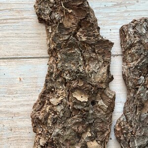 May include: Close-up of two pieces of rough, textured tree bark. The bark is primarily brown with areas of gray and tan, showing a detailed, natural pattern. The pieces are irregularly shaped, with a rugged, organic appearance.