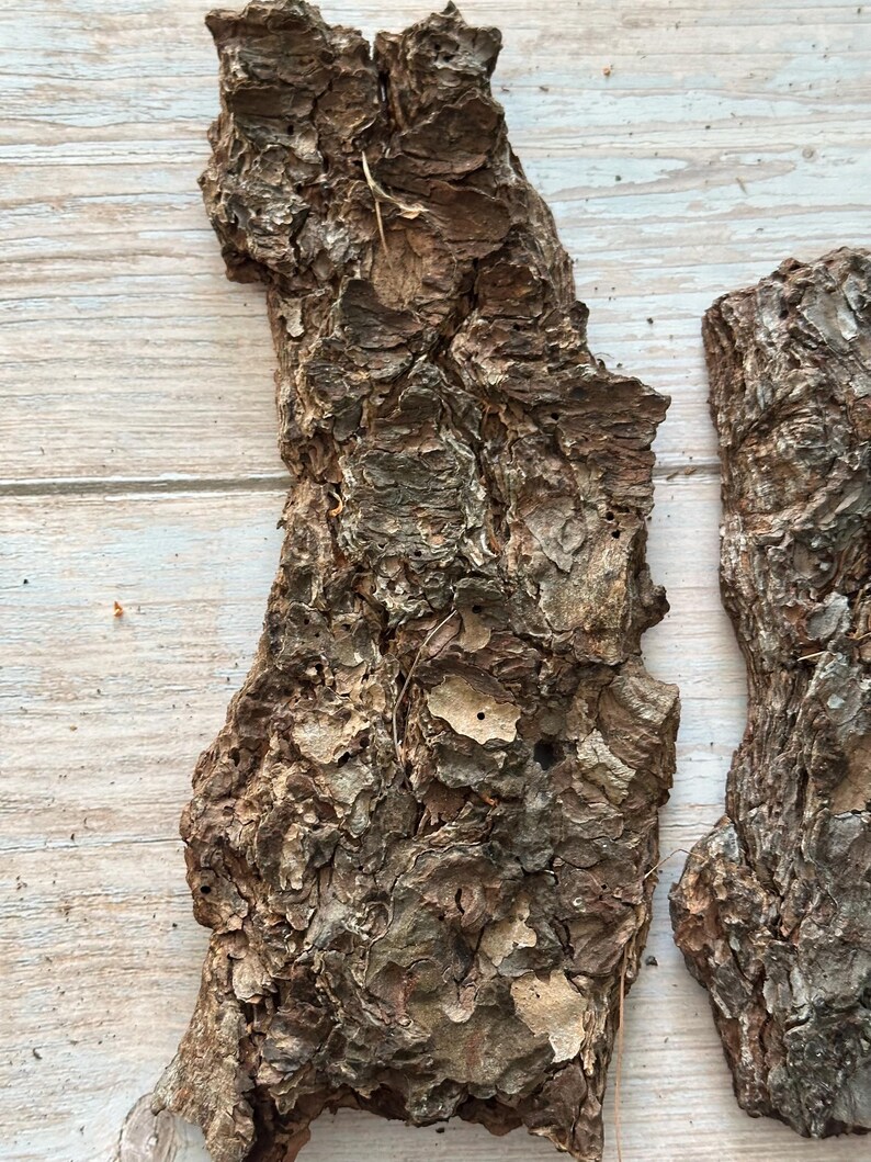 May include: Close-up of two pieces of rough, textured tree bark. The bark is primarily brown with areas of gray and tan, showing a detailed, natural pattern. The pieces are irregularly shaped, with a rugged, organic appearance.
