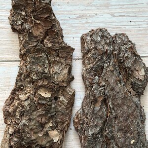 May include: Two pieces of rough, textured tree bark in shades of brown and gray. The bark has a rugged appearance with visible ridges and crevices, and is set against a light wood grain background.