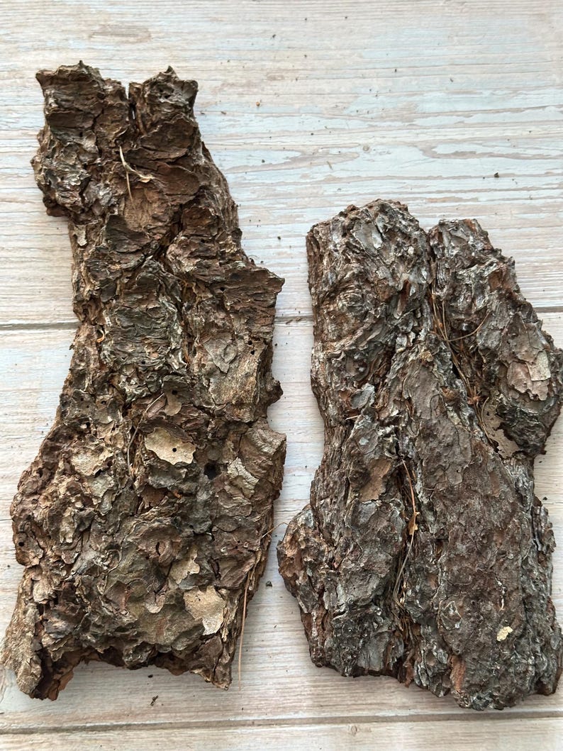 May include: Two pieces of rough, textured tree bark in shades of brown and gray. The bark has a rugged appearance with visible ridges and crevices, and is set against a light wood grain background.