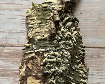 Birch Tree Bark: Rustic Nature Decor, DIY Wood Crafts