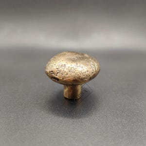 May include: A bronze mushroom-shaped cabinet knob with a textured surface. The knob has a rounded top and a short, cylindrical stem. The color is a warm, antique gold.