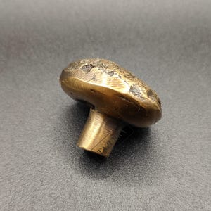 May include: A brass mushroom-shaped cabinet knob. The knob features a textured top and a cylindrical stem. The brass has a warm, golden hue with darker patches on the top. Designed for furniture, it is a decorative element.