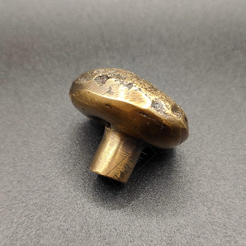 May include: A brass mushroom-shaped cabinet knob. The knob features a textured top and a cylindrical stem. The brass has a warm, golden hue with darker patches on the top. Designed for furniture, it is a decorative element.
