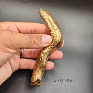 Könnte beinhalten: Ein goldfarbenes, gebogenes Dekorationsobjekt mit strukturierter Oberfläche. Das Objekt wird in einer Hand vor einem dunklen Hintergrund gehalten. Das Wort "TAZURRA" ist weiß gedruckt.