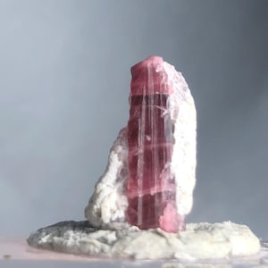 May include: A raw, pink tourmaline crystal specimen. The crystal is a vibrant pink color with vertical striations, set against a white matrix. The base is a rough, textured, off-white stone. The background is a soft, neutral gray.