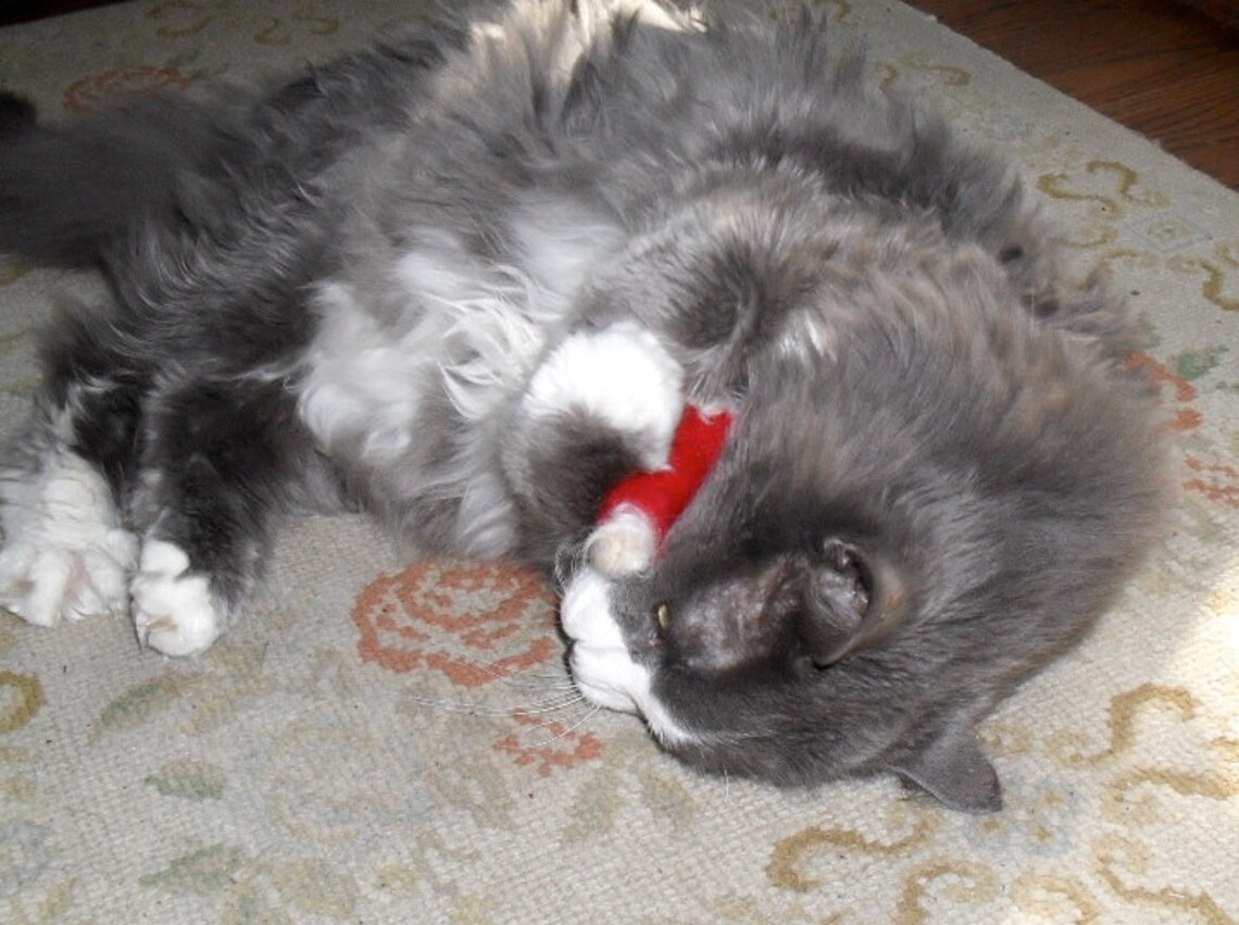 Cat toy catnip wicked witch severed leg needle felted Etsy