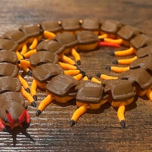 May include: A 3D-printed centipede toy in brown and orange. The segmented body is brown, with orange legs and black tips. The head is red and black. The toy is curled up on a wooden surface.