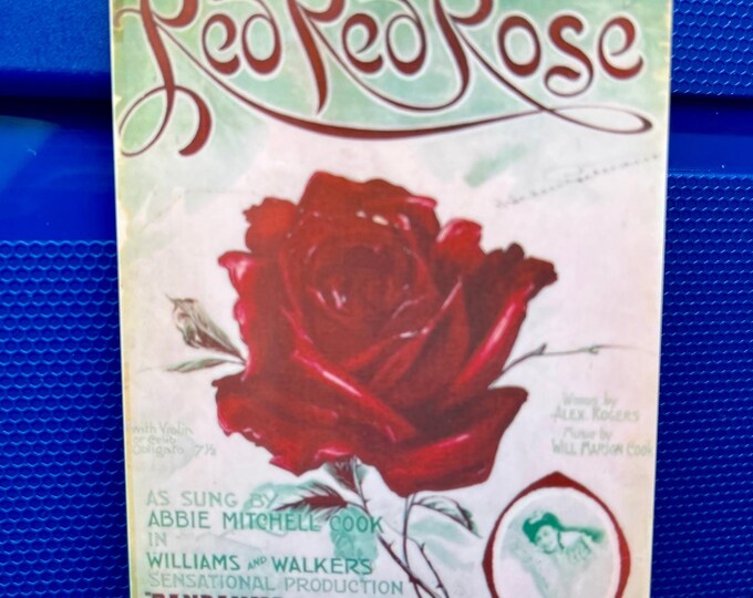 Luggage Tag - Vintage Rose Album Cover