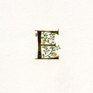 23c gold leaf letter handpainted with apple blossom and apples handmade Birthday name gift.