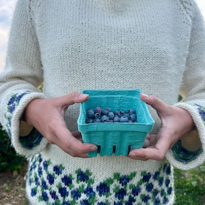 Peut inclure: Pull en tricot crème avec un motif floral bleu et vert sur le bas et les manches. Le col est orné d'une bordure bleue et violette. Un petit contenant à baies turquoise est rempli de myrtilles fraîches.
