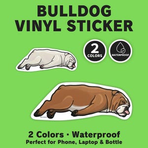 Op de afbeelding: Op een groene achtergrond staan twee bulldog vinyl stickers, één crèmekleurig en één bruin. De tekst "BULLDOG VINYL STICKER" staat bovenaan. Twee cirkelvormige pictogrammen geven "2 KLEUREN" en "WATERPROOF" aan. De onderste tekst luidt "2 Kleuren - Waterdicht".