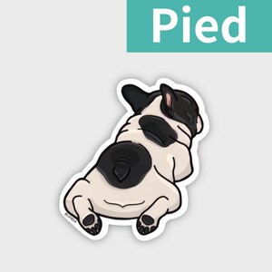 K&ouml;nnte beinhalten: Ein Aufkleber mit einer Cartoon-Illustration eines franz&ouml;sischen Bulldoggen-Hinterteils. Der Hund ist wei&szlig; mit schwarzen Flecken und liegt. Das Wort "Pied" steht in wei&szlig;en Buchstaben auf t&uuml;rkisfarbenem Hintergrund.