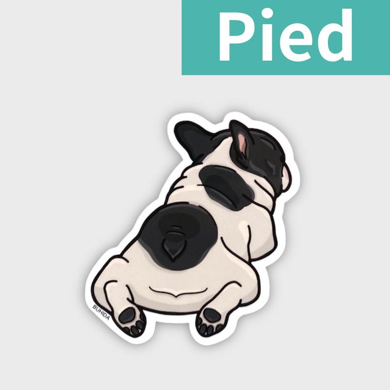 K&ouml;nnte beinhalten: Ein Aufkleber mit einer Cartoon-Illustration eines franz&ouml;sischen Bulldoggen-Hinterteils. Der Hund ist wei&szlig; mit schwarzen Flecken und liegt. Das Wort "Pied" steht in wei&szlig;en Buchstaben auf t&uuml;rkisfarbenem Hintergrund.