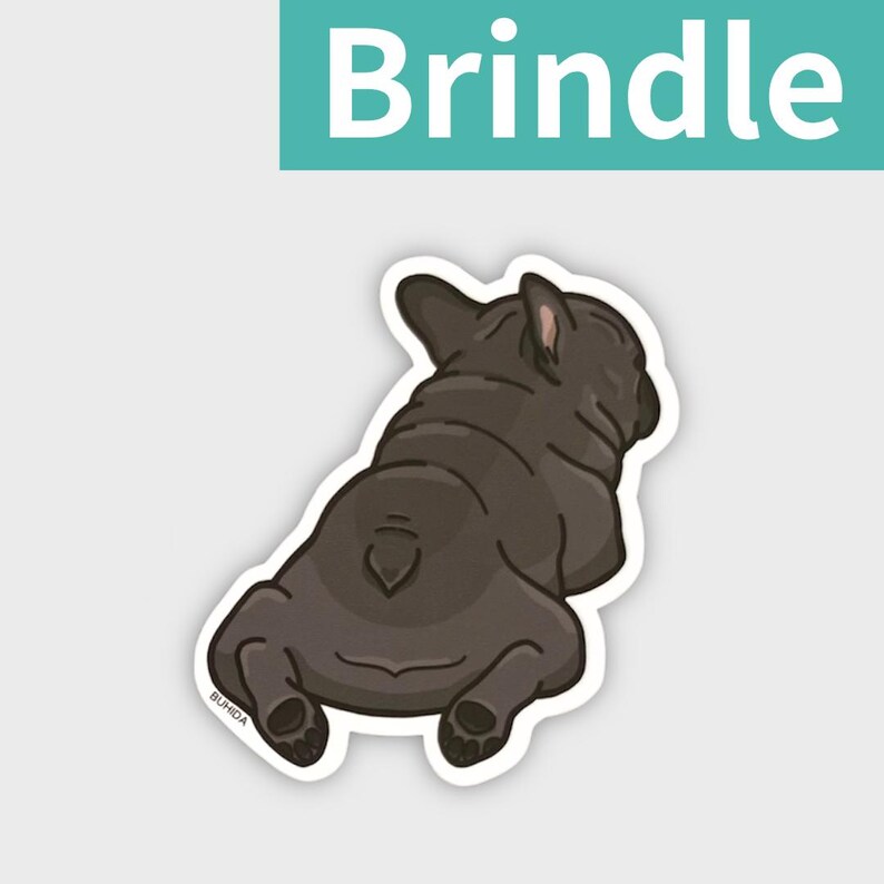 K&ouml;nnte beinhalten: Ein Aufkleber mit einer Cartoon-Illustration eines gestromten Franz&ouml;sischen Bulldoggen von hinten. Der Hund ist dunkelbraun mit wei&szlig;em Umriss, und das Wort "Brindle" steht &uuml;ber dem Hund in einem t&uuml;rkisfarbenen Rechteck.