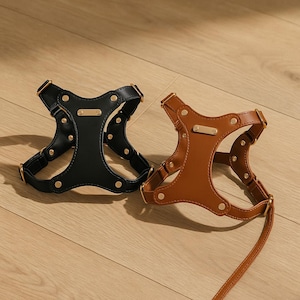 Luxury Leather Dog Harness for Small Medium Dogs – Adjustable Soft Padded Chest Vest – No-Pull – Matching Leash & Poop Bag Holder Set