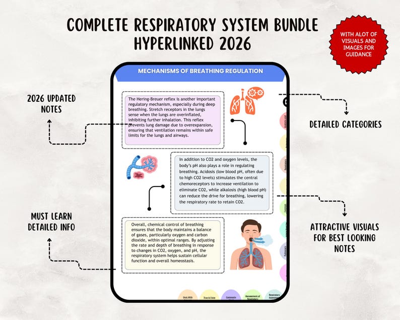 Respiratory System Study Guide: Nursing Notes, Meds & Quiz, 195+ Pages ...
