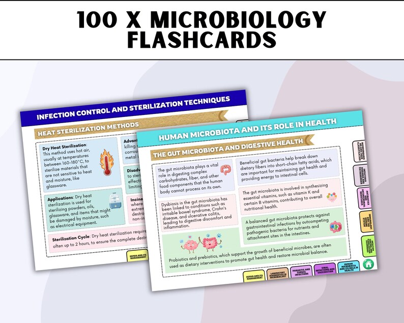 Microbiology Flashcards, Biology 2026 Edition, Hyperlinked, (digital ...