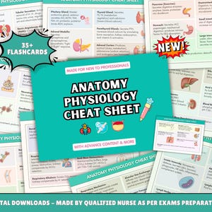 May include: Anatomy and Physiology Cheat Sheet digital downloads. The image shows several flashcards with detailed diagrams and text about human anatomy and physiology. The main card is teal with the title "Anatomy Physiology Cheat Sheet".
