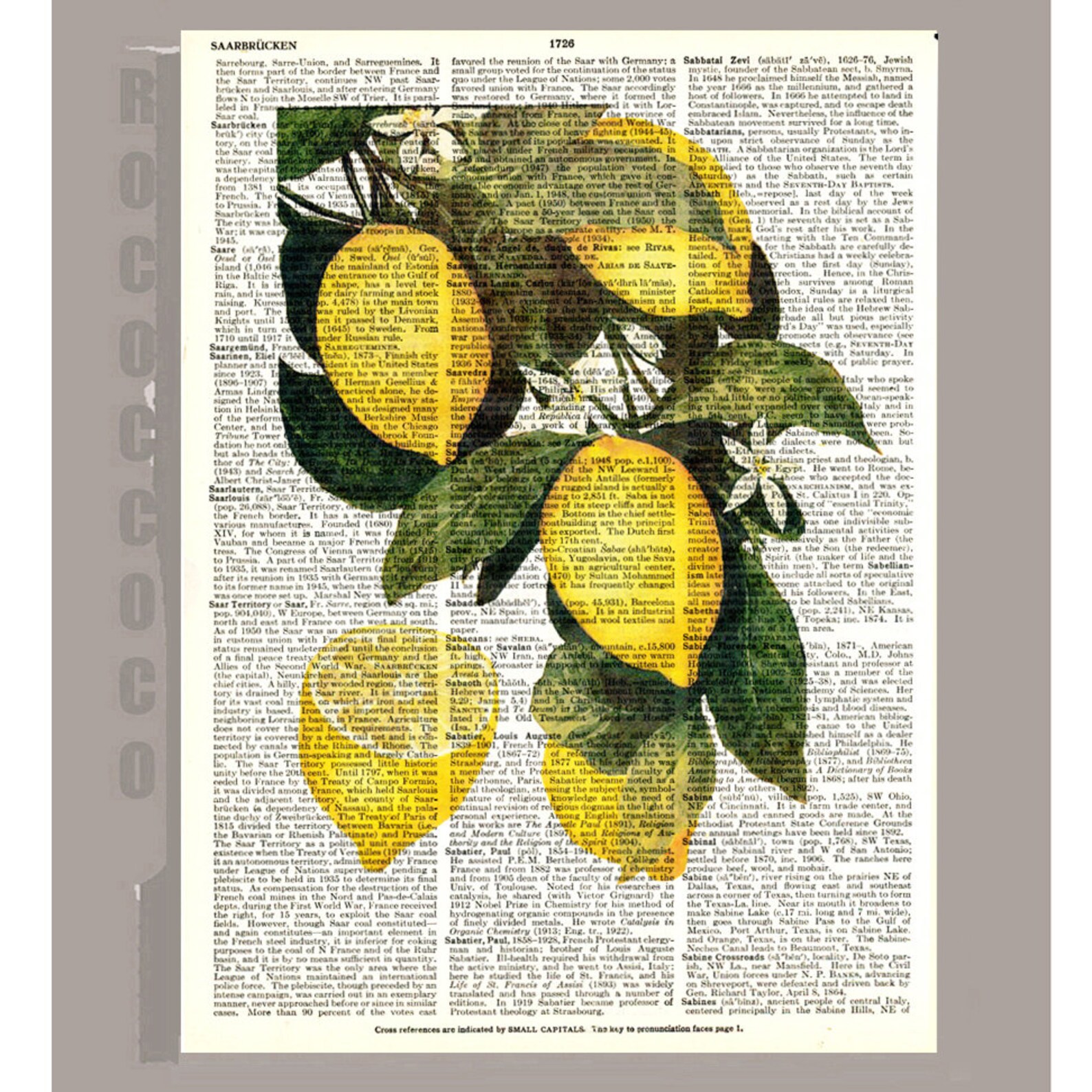 Beautiful Lemon Illustration Print on Vintage Dictionary Book Etsy
