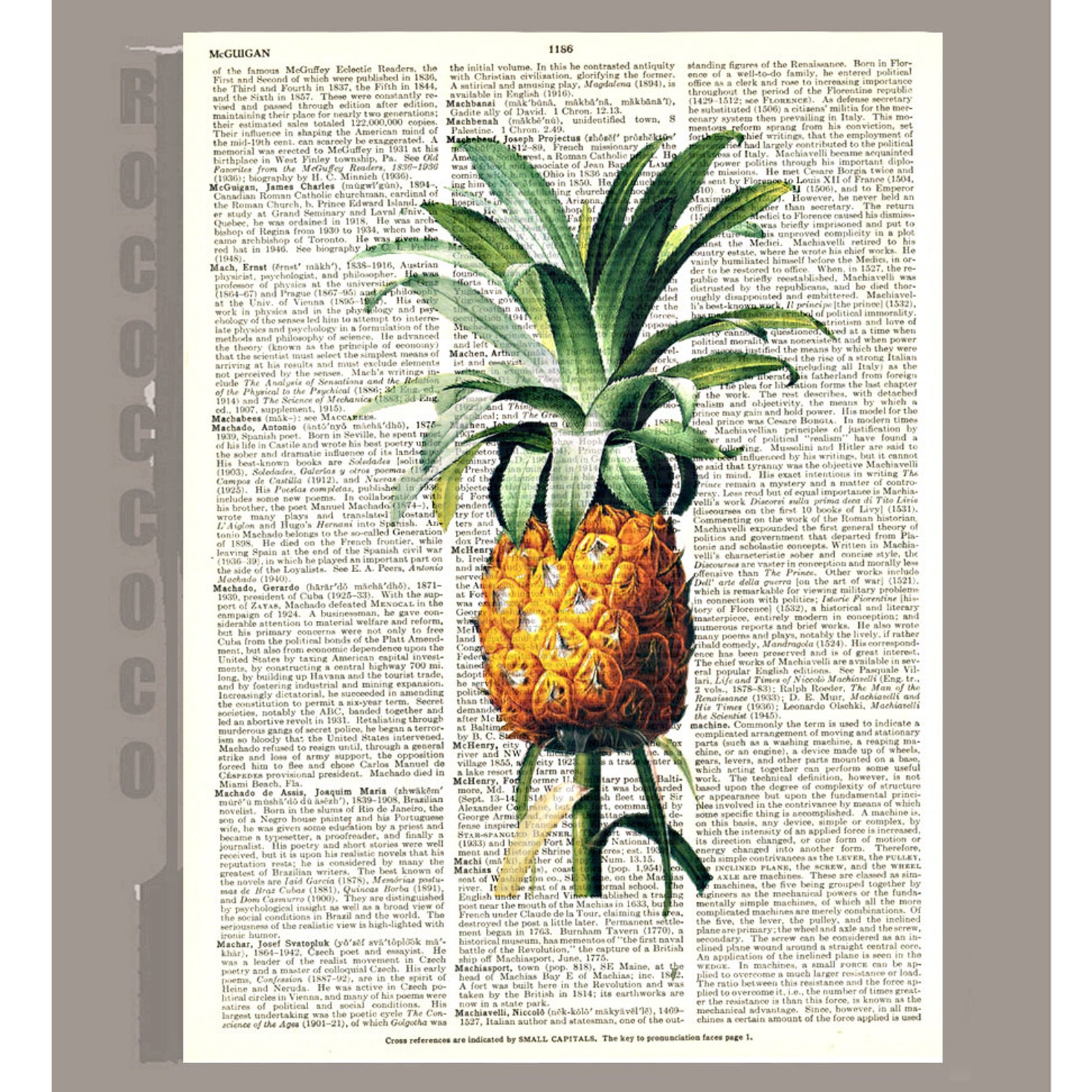 Beautiful Pineapple Illustration Print on Vintage Dictionary Etsy