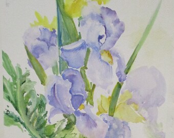 Wild Iris Flowers Original Watercolor Painting by Marina Movshina