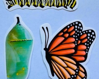 Monarch Life Cycle Sticker Set