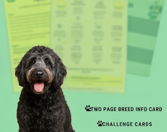 Guide de formation et d'enrichissement Labradoodle : conseils spécifiques à la race (téléchargement numérique)