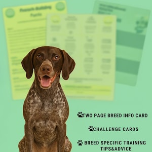 May include: A brown and white Pointer dog sits in front of green informational cards. The image includes the text "POINTER", "TWO PAGE BREED INFO CARD", "CHALLENGE CARDS", "BREED SPECIFIC TRAINING TIPS&ADVICE", and "EXCLUSIVE CONTENT INSIDE!".
