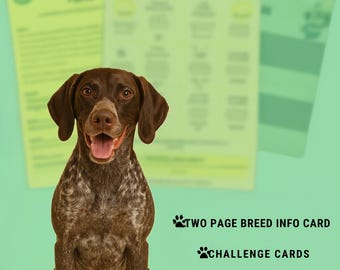 Guide de dressage et d'enrichissement d'une race de chiens d'arrêt : conseils de comportement, cartes de défi (téléchargement numérique)