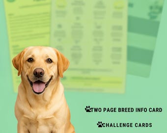 Labrador Enrichment Bundle : conseils d'entraînement et cartes de défi (téléchargement numérique)