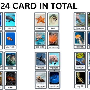 Sea Animal Flashcards for Kids – Ocean Creatures Learning Cards, Montessori Educational Printable, Toddler Preschool Activity&quot;
