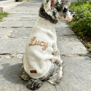 May include: A small dog wearing a cream-colored sweater with the name "Lucy" embroidered in a light brown thread. The dog is sitting on a stone walkway, with greenery in the background. The sweater has a small brown tag.
