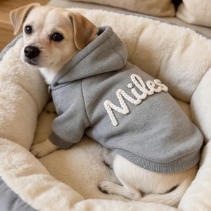 Moletom personalizado para cachorro, moletom com nome do pet bordado, roupa personalizada para filhote, suéter de tricô feito à mão para cachorro, presente para amantes de cães, jaqueta para cachorro