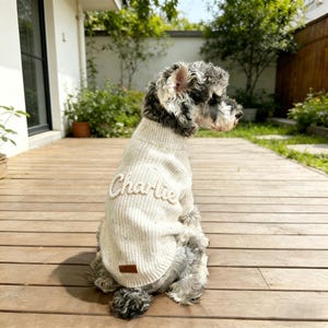 Custom Dog Sweater, Personalised Puppy Jumper, Embroidered Pet Name Clothing, Hand Knit Dog Sweater Cotton, Pet Memorial Gift, Dog Baby Gift image 7