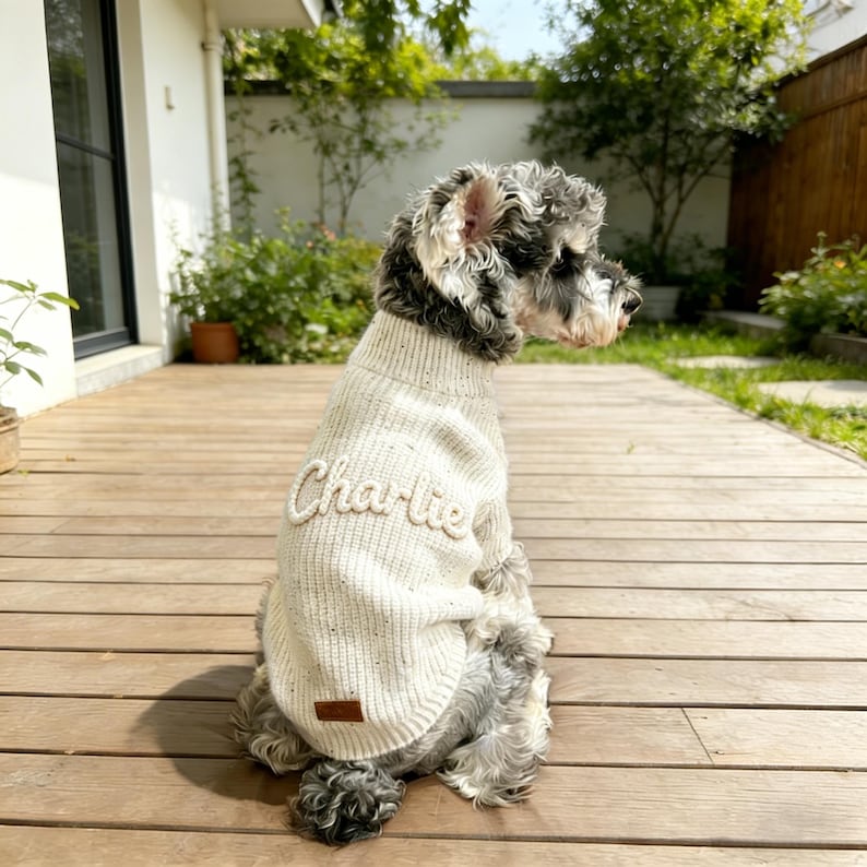 Custom Dog Sweater, Personalised Puppy Jumper, Embroidered Pet Name Clothing, Hand Knit Dog Sweater Cotton, Pet Memorial Gift, Dog Baby Gift image 7