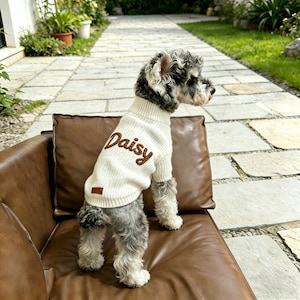 May include: A cream-colored knit dog sweater featuring a high neck and the name Daisy embroidered in brown script across the back. The sweater includes a small rectangular brown leather-like patch near the bottom hem.