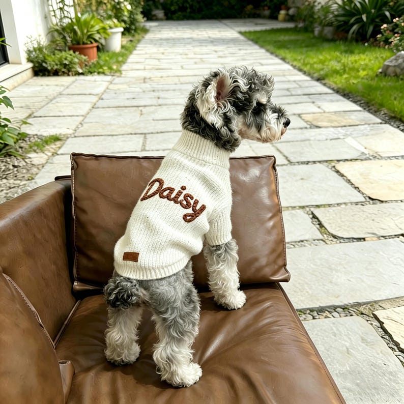May include: A cream-colored knit dog sweater featuring a high neck and the name Daisy embroidered in brown script across the back. The sweater includes a small rectangular brown leather-like patch near the bottom hem.