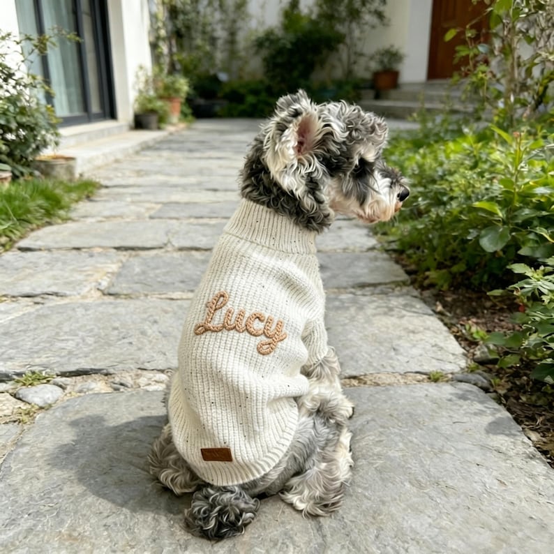 May include: A small dog wearing a cream-colored sweater with the name "Lucy" embroidered in a light brown thread. The dog is sitting on a stone walkway, with greenery in the background. The sweater has a small brown tag.