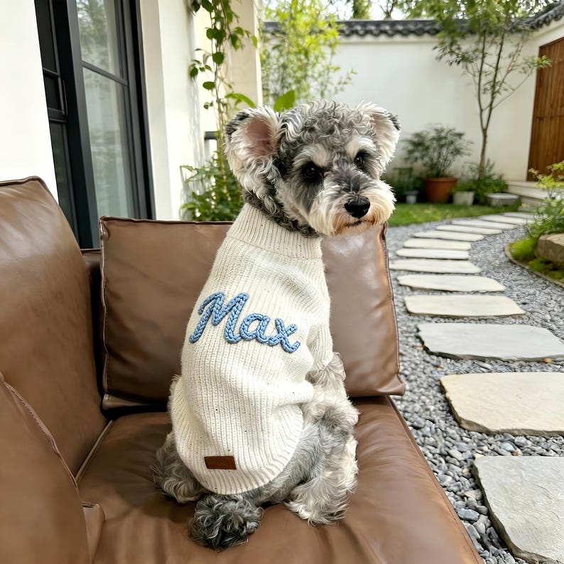Custom Dog Sweater, Personalised Puppy Jumper, Embroidered Pet Name Clothing, Hand Knit Dog Sweater Cotton, Pet Memorial Gift, Dog Baby Gift image 2