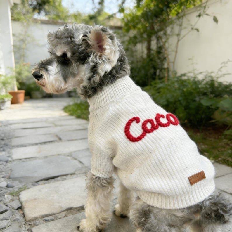 Custom Dog Sweater, Personalised Puppy Jumper, Embroidered Pet Name Clothing, Hand Knit Dog Sweater Cotton, Pet Memorial Gift, Dog Baby Gift image 1
