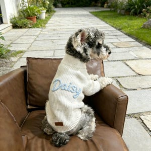 May include: A cream-colored knit dog sweater featuring the name Daisy embroidered in light blue script across the back. The sweater has a ribbed turtleneck collar and a small brown rectangular tag near the bottom hem.