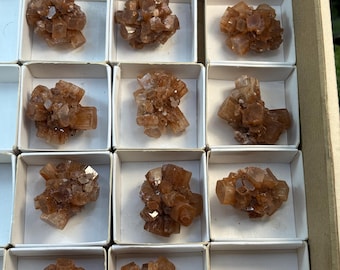 Wholesale Lot of 15 Aragonite Clusters – Natural Healing Crystals, Chakra Stones & Meditation Decor