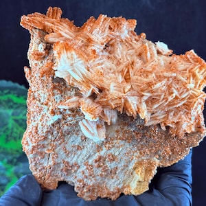 Könnte beinhalten: Natürliches Mineralexemplar mit strahlenförmigen, kristallinen Formationen in Orange- und Weißtönen. Das Mineral sitzt auf einer rauen, strukturierten Basis mit gesprenkeltem Aussehen. Das Exemplar wird von einer behandschuhten Hand gehalten.