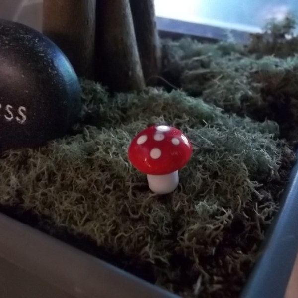 4 Pack Miniature Mushrooms for Terrariums Fairy Gardens Moss Gardens