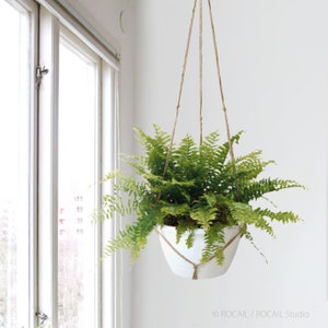 May include: A green fern plant hanging in a white planter from a macrame rope hanger against a white wall.