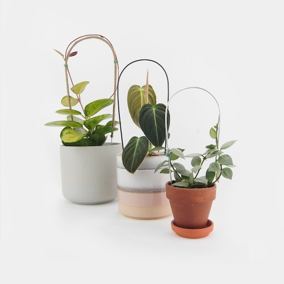 Petit tuteur en forme d'arche pour plante grimpante Treillis arc en 3  formats Support moderne et minimaliste noir, métal ou jute -  France